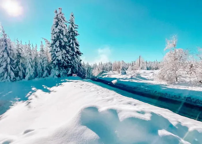 Pur Natur! Wandern Und Skifahren - Trahütti Premium