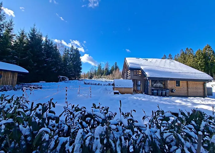 Pur Natur! Wandern Und Skifahren - Trahütti Premium *